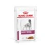 Royal Canin Vet Chien Early Renal 12 X 100 G
