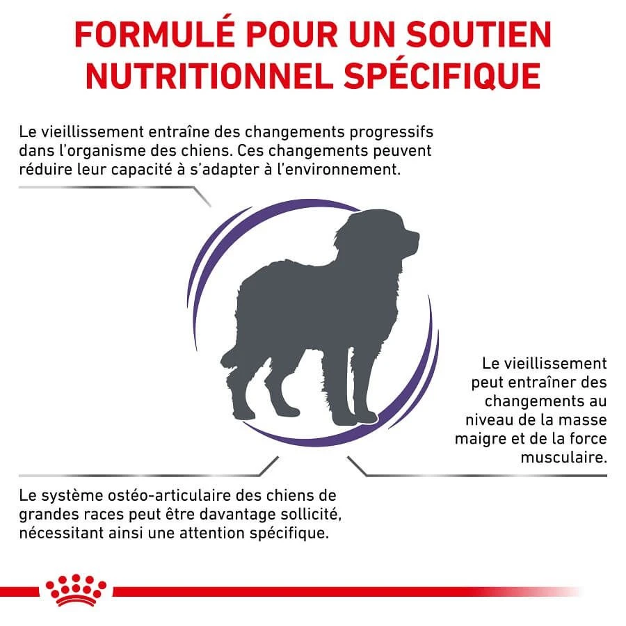 Royal Canin Vet Chien Large Mature 14 Kg 4 Royal Canin Vet Chien Large Mature 14 Kg – Image 2