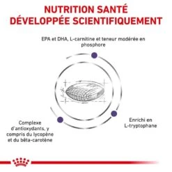 Royal Canin Vet Chien Large Mature 14 Kg 12 Royal Canin Vet Chien Large Mature 14 Kg -Animaux Fournitures Magasin royal canin veterinary mature large dog 14 kg 3