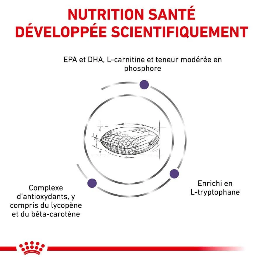 Royal Canin Vet Chien Large Mature 14 Kg 5 Royal Canin Vet Chien Large Mature 14 Kg – Image 3