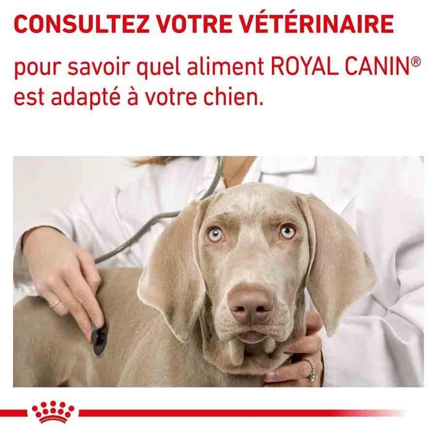 Royal Canin Vet Chien Large Mature 14 Kg 10 Royal Canin Vet Chien Large Mature 14 Kg – Image 8