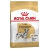 Royal Canin Dalmatien Adult 12 Kg 1 Royal Canin Dalmatien Adult 12 Kg -Animaux Fournitures Magasin royal canin dalmatien adult la compagnie des animaux