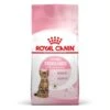 Royal Canin Feline Health Nutrition Kitten Sterilised 400 G 1 Royal Canin Feline Health Nutrition Kitten Sterilised 400 G -Animaux Fournitures Magasin royal canin feline health nutrition kitten sterilised 9 2