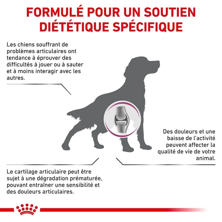 Royal Canin Vet Chien Mobility Support 2 Kg 5 Royal Canin Vet Chien Mobility Support 2 Kg – Image 3