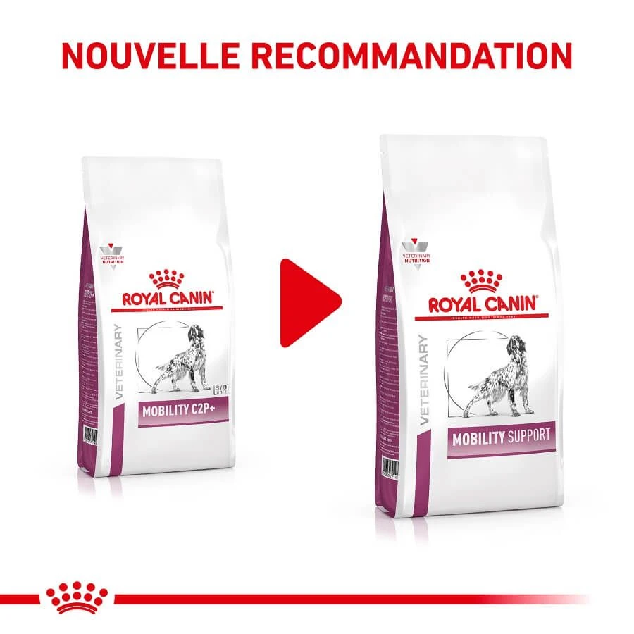Royal Canin Vet Chien Mobility Support 2 Kg 4 Royal Canin Vet Chien Mobility Support 2 Kg – Image 2