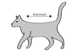 Buster Body Suit Chat XS 7 Buster Body Suit Chat XS -Animaux Fournitures Magasin sche m 1 1