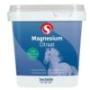 Sectolin Citrate De Magnésium Cheval 1 Kg 1 Sectolin Citrate De Magnésium Cheval 1 Kg -Animaux Fournitures Magasin sectolin vitamine e selenium cheval 3 kg