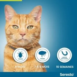 Seresto Collier Antiparasitaire Chat X1 (Blister) 12 Seresto Collier Antiparasitaire Chat X1 (Blister) -Animaux Fournitures Magasin seresto collier antiparasitaire chat4 1