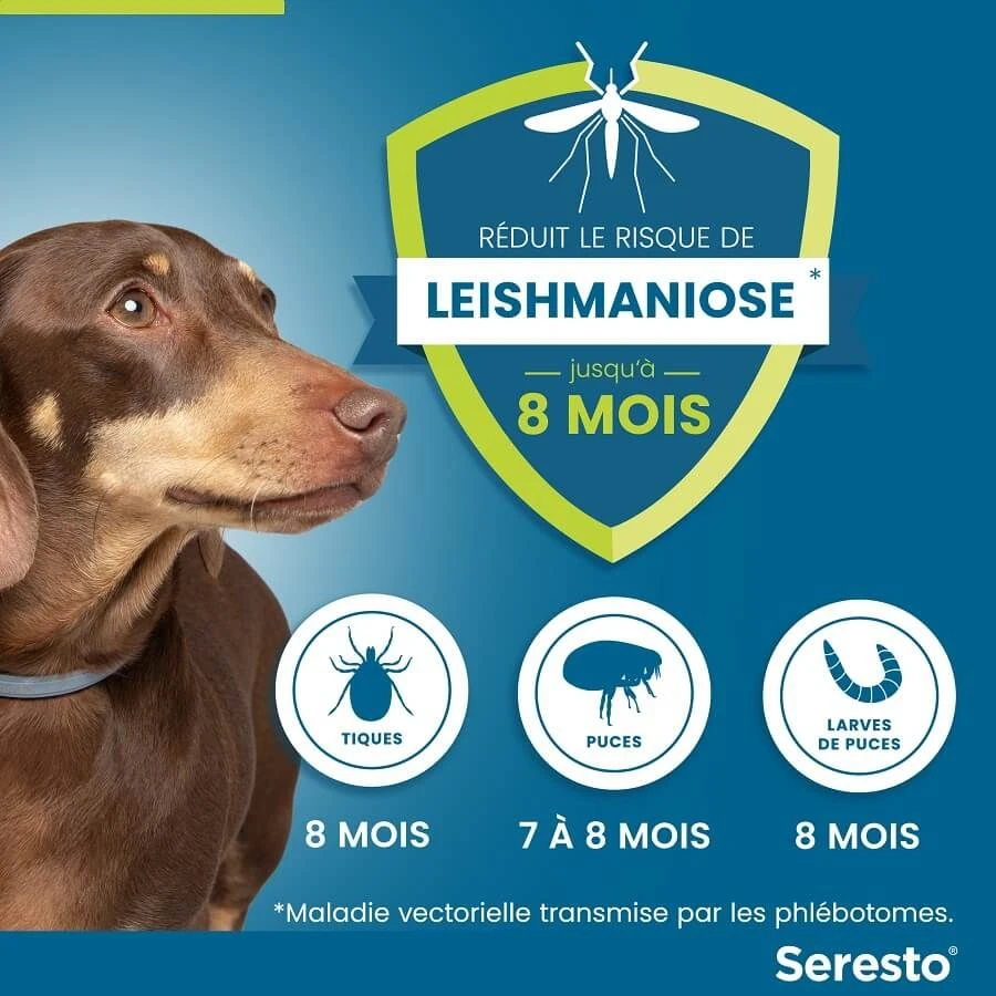 Seresto Collier Antiparasitaire Petit Chien - 8 Kg 8 Seresto Collier Antiparasitaire Petit Chien - 8 Kg – Image 6