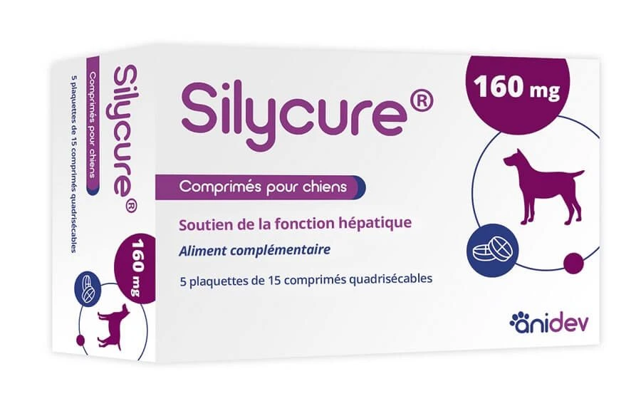 Silycure 160 Mg Chien Moyen Et Grand 75 Cps 3 Silycure 160 Mg Chien Moyen Et Grand 75 Cps