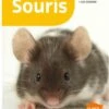 Livre - Souris 1 Livre - Souris -Animaux Fournitures Magasin souris 1
