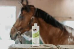 Horse Master Tendileg Gel 500 Ml 7 Horse Master Tendileg Gel 500 Ml -Animaux Fournitures Magasin tendileg