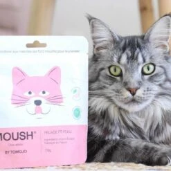 Tomojo Moush Friandises Pelage Chat 70 G 5 Tomojo Moush Friandises Pelage Chat 70 G -Animaux Fournitures Magasin tomojo moush chat friandises pelage 70 gr