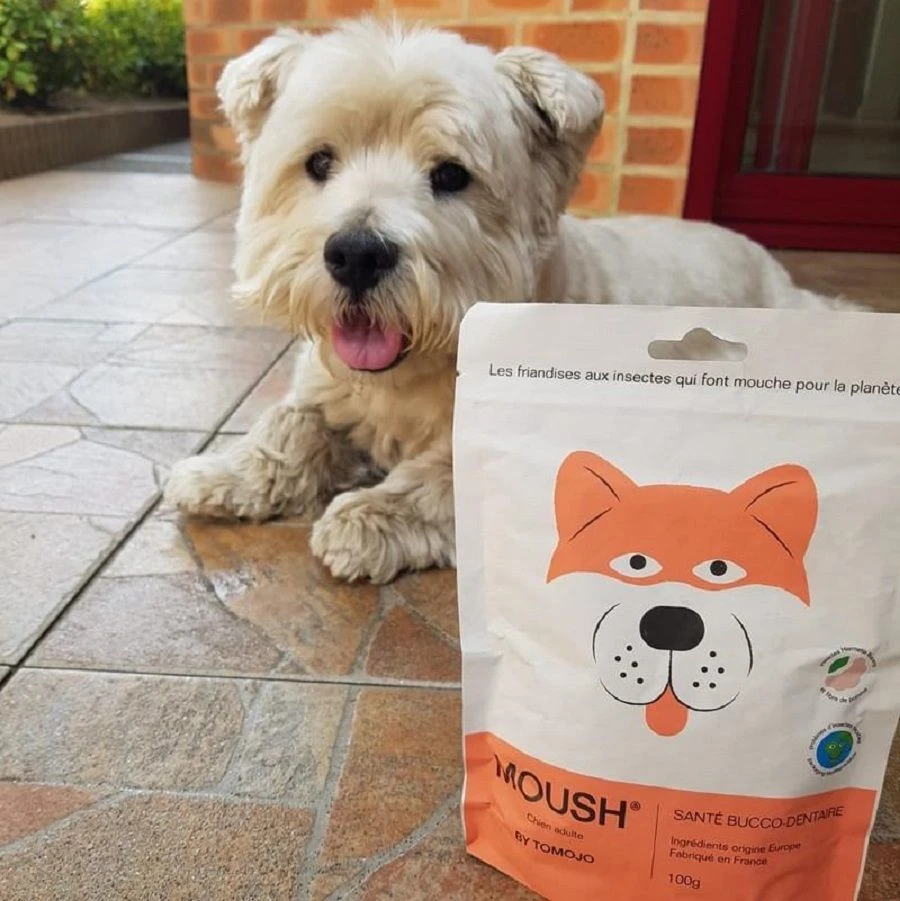 Tomojo Moush Friandises Hygiène Bucco-Dentaire Chien 100 G 4 Tomojo Moush Friandises Hygiène Bucco-Dentaire Chien 100 G – Image 2