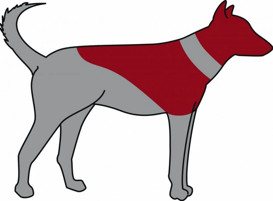 Trixie Collerette Gonflable Pour Chien XXS 5 Trixie Collerette Gonflable Pour Chien XXS – Image 3