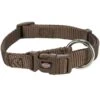 Trixie Collier Premium Noisette XXS-XS 2 Trixie Collier Premium Noisette XXS-XS -Animaux Fournitures Magasin trixie collier premium noisette xxs xs