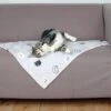 Trixie Couverture Mimi 70 × 50 Cm Gris Clair 1 Trixie Couverture Mimi 70 × 50 Cm Gris Clair -Animaux Fournitures Magasin trixie couverture mimi