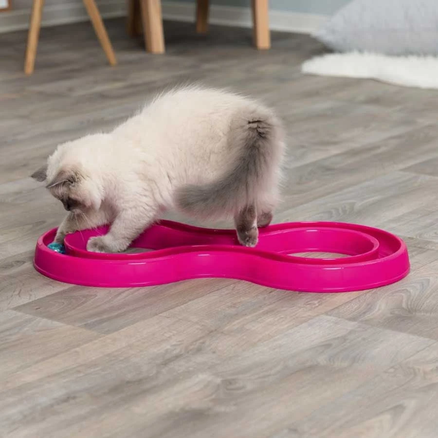 Trixie Jouet Flashing Ball Race Pour Chat 4 Trixie Jouet Flashing Ball Race Pour Chat – Image 2
