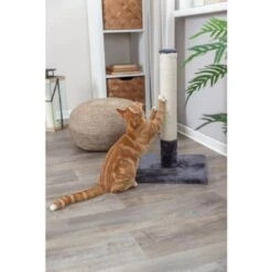 Trixie Poteau Griffoir Batres Chat Gris 62 Cm