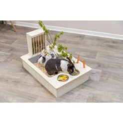 Trixie Station Mangeoire Pour Rongeurs 70 X 41 X 47 Cm 21 Trixie Station Mangeoire Pour Rongeurs 70 X 41 X 47 Cm -Animaux Fournitures Magasin trixie station mangeoire pour rongeurs 70 x 41 x 47 cm 10
