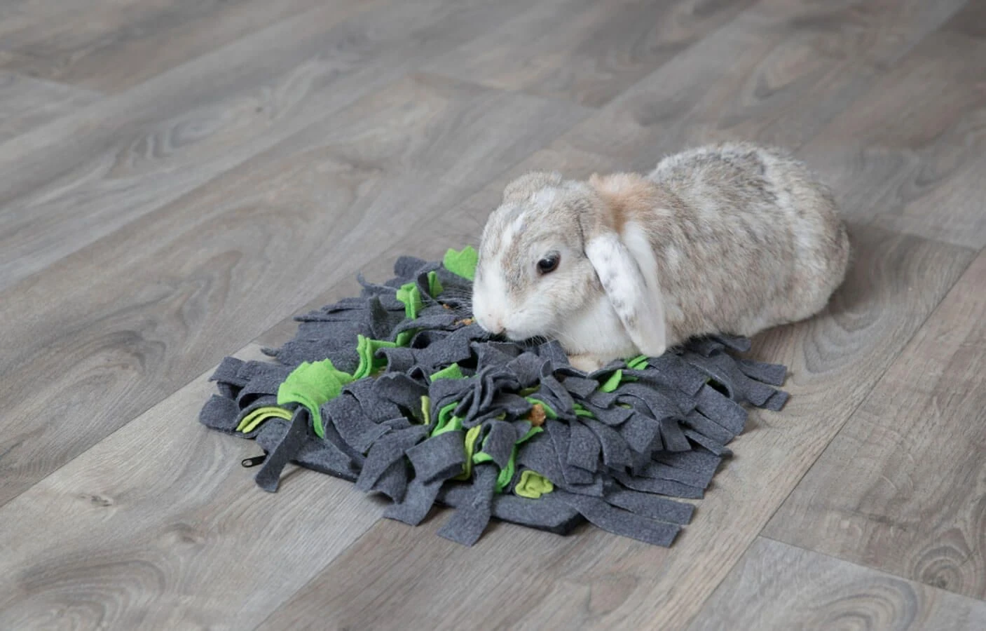 Trixie Tapis à Renifler Pour Lapin Et Cochon D'inde 27 × 20 Cm 6 Trixie Tapis à Renifler Pour Lapin Et Cochon D'inde 27 × 20 Cm – Image 4