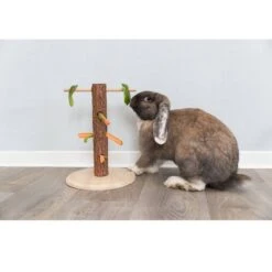Trixie Tronc D'arbre Ludique Pour Aliments Rongeurs 8 Trixie Tronc D'arbre Ludique Pour Aliments Rongeurs -Animaux Fournitures Magasin trixie tronc d arbre ludique pour aliments rongeurs 2