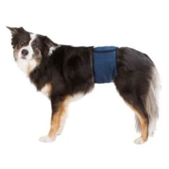 Trixie Couches Lavables Pour Chiens Mâles Bleu Foncé M