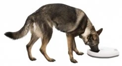 Trixie Distributeur Automatique TX4+1 -Animaux Fournitures Magasin trixie distributeur automatique tx5 la compagnie des animaux 4