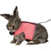 Trixie Harnais Soft Avec Laisse Pour Grand Lapin 22-28 Cm 1 Trixie Harnais Soft Avec Laisse Pour Grand Lapin 22-28 Cm -Animaux Fournitures Magasin trixie harnais soft avec laisse pour grand lapin 22 28 cm 1