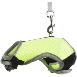 Trixie Harnais Soft Avec Laisse Pour Grand Lapin 22-28 Cm 7 Trixie Harnais Soft Avec Laisse Pour Grand Lapin 22-28 Cm -Animaux Fournitures Magasin trixie harnais soft avec laisse pour rongeur 14 19 cm1 1 3