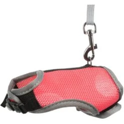 Trixie Harnais Soft Avec Laisse Pour Grand Lapin 22-28 Cm 8 Trixie Harnais Soft Avec Laisse Pour Grand Lapin 22-28 Cm -Animaux Fournitures Magasin trixie harnais soft avec laisse pour rongeur 14 19 cm 1 3