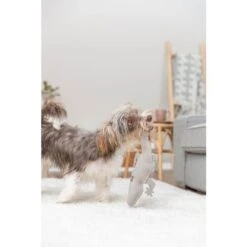 Trixie Peluche Salamandre Pour Chien 37 Cm 7 Trixie Peluche Salamandre Pour Chien 37 Cm -Animaux Fournitures Magasin trixie peluche salamandre 37 cm3