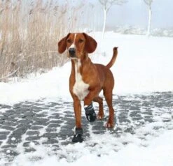 Trixie Bottes Protection Walker Active M - L X 2 5 Trixie Bottes Protection Walker Active M - L X 2 -Animaux Fournitures Magasin trixiebottesm