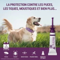Vectra 3D Chien 10 à 25 Kg 12 Pipettes 13 Vectra 3D Chien 10 à 25 Kg 12 Pipettes -Animaux Fournitures Magasin vectra 3d chien 10 a 25 kg 12 pipettes 3