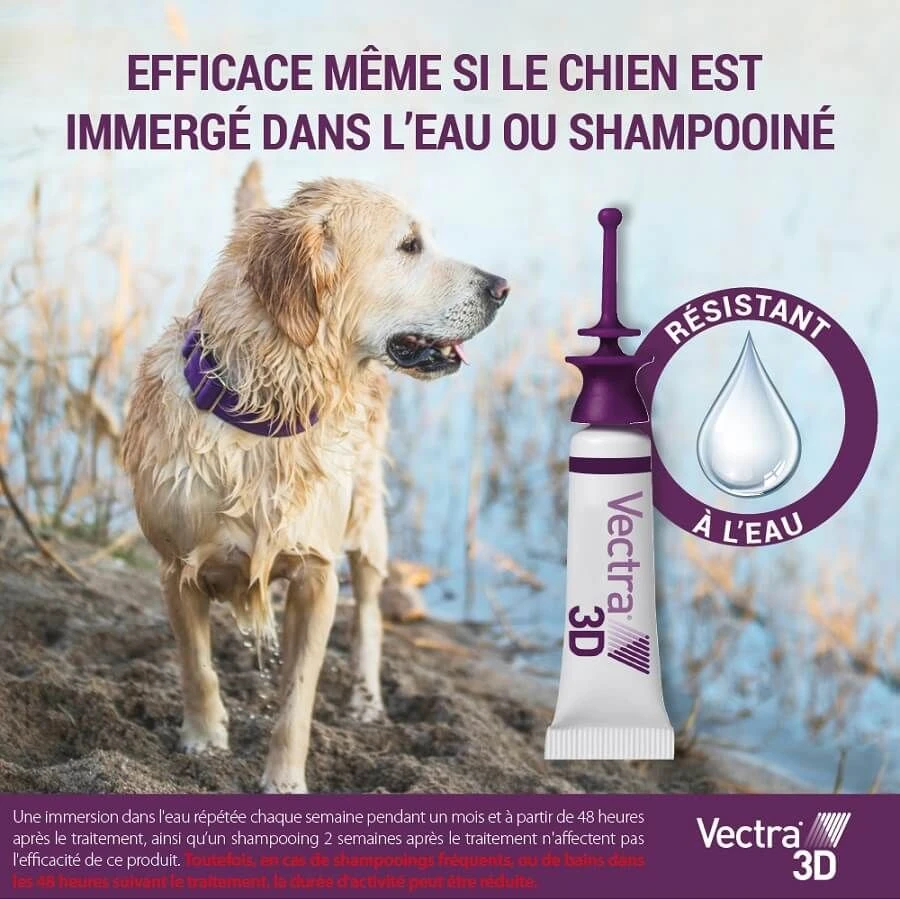 Vectra 3D Chien 10 à 25 Kg 12 Pipettes 6 Vectra 3D Chien 10 à 25 Kg 12 Pipettes – Image 4