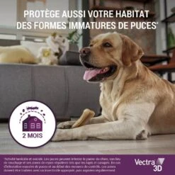 Vectra 3D Chien 10 à 25 Kg 12 Pipettes 15 Vectra 3D Chien 10 à 25 Kg 12 Pipettes -Animaux Fournitures Magasin vectra 3d chien 10 a 25 kg 12 pipettes 5