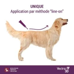 Vectra 3D Chien 10 à 25 Kg 12 Pipettes 16 Vectra 3D Chien 10 à 25 Kg 12 Pipettes -Animaux Fournitures Magasin vectra 3d chien 10 a 25 kg 12 pipettes 6