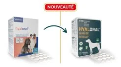 HYALORAL Chien Plus De 5 Kg 360 Cps 6 HYALORAL Chien Plus De 5 Kg 360 Cps -Animaux Fournitures Magasin virbac hyaloral chien plus de 5 kg 360 cp