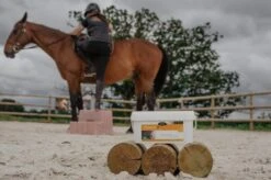 Horse Master Vitamine E 2 Kg -Animaux Fournitures Magasin vitamine e