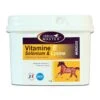 Horse Master Vitamine E Sélénium & Lysine Poudre 1 Kg 1 Horse Master Vitamine E Sélénium & Lysine Poudre 1 Kg -Animaux Fournitures Magasin vitamine e se le nium lysine poudre 1 kg la compagnie des animaux