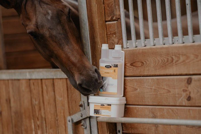 Horse Master Vitamine E Sélénium & Lysine Poudre 1 Kg 4 Horse Master Vitamine E Sélénium & Lysine Poudre 1 Kg – Image 2