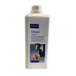 Vitavia 1 L 5 Vitavia 1 L -Animaux Fournitures Magasin vitavia 1 l