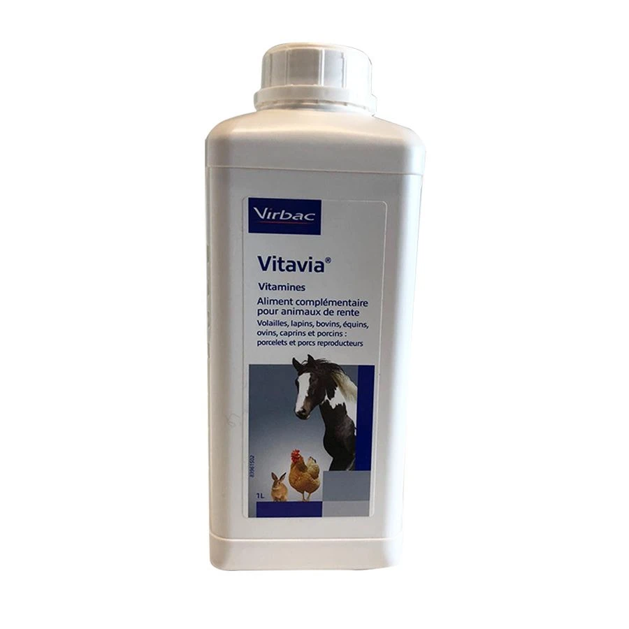 Vitavia 1 L 4 Vitavia 1 L – Image 2