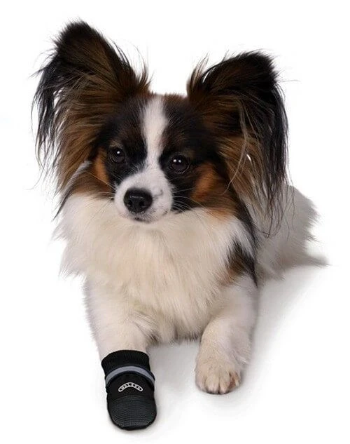 Trixie Bottes Protection Walker Care Confort XS X 2 3 Trixie Bottes Protection Walker Care Confort XS X 2 – Image 2