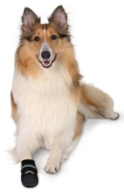 Trixie Bottes Protection Walker Care Confort XS X 2 8 Trixie Bottes Protection Walker Care Confort XS X 2 -Animaux Fournitures Magasin walker care3