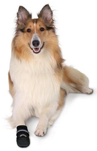 Trixie Bottes Protection Walker Care Confort XS X 2 5 Trixie Bottes Protection Walker Care Confort XS X 2 – Image 4