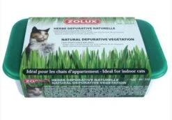 Zolux Herbe Dépurative Naturelle Pour Chat 250 G 7 Zolux Herbe Dépurative Naturelle Pour Chat 250 G -Animaux Fournitures Magasin zolux herbe depurative naturelle pour chat 250 g3