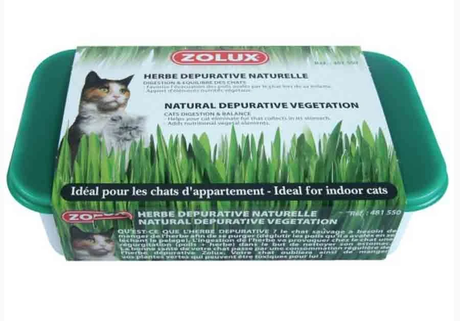Zolux Herbe Dépurative Naturelle Pour Chat 250 G 5 Zolux Herbe Dépurative Naturelle Pour Chat 250 G – Image 3