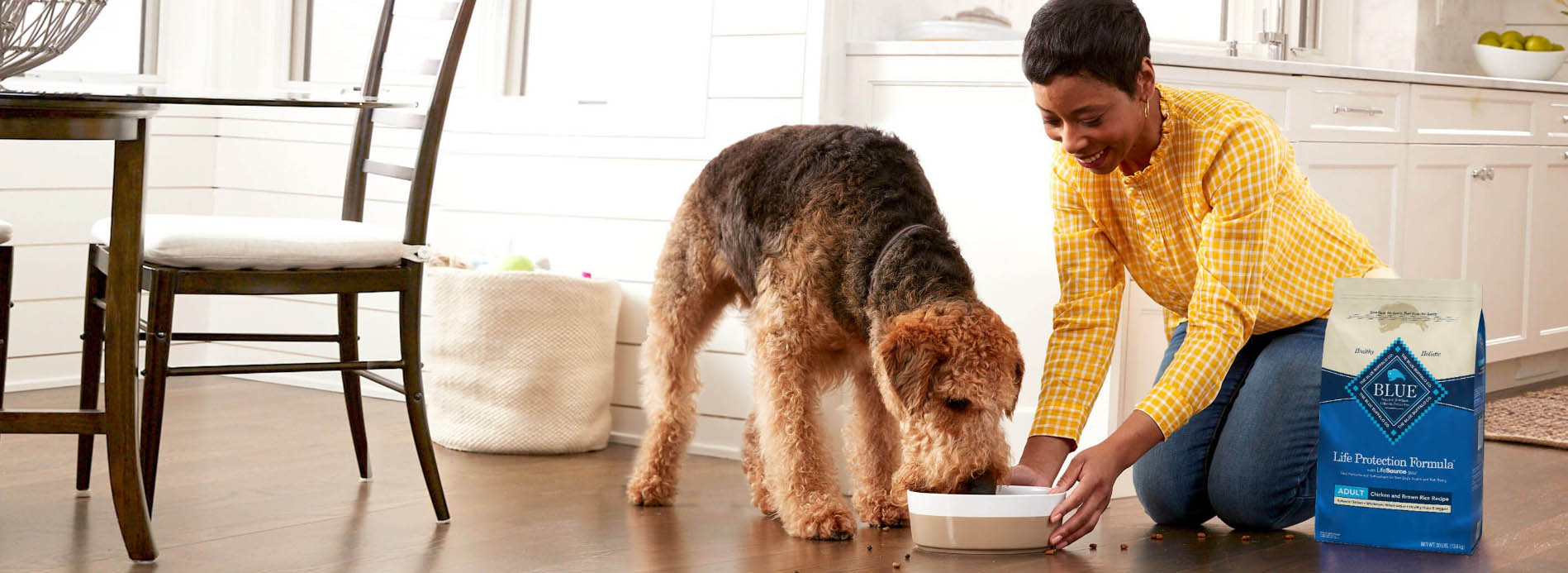 Animaux Fournitures Magasin -Animaux Fournitures Magasin yuiyui